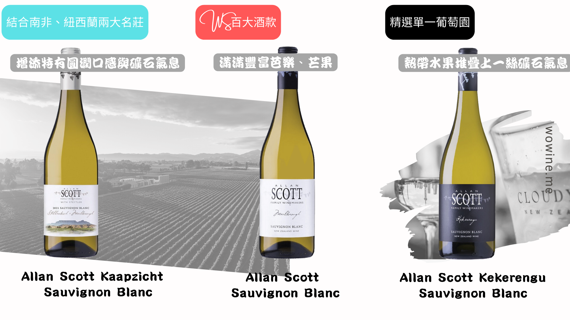 allen scott sauvignon blanc mix