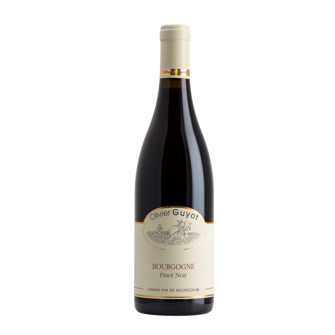 奧立維居由 勃根地區金丘紅酒 Olivier Guyot Bourgogne Pinot Noir